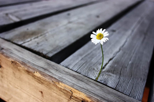 岳阳2日游旅游线路-岳阳2日游攻略