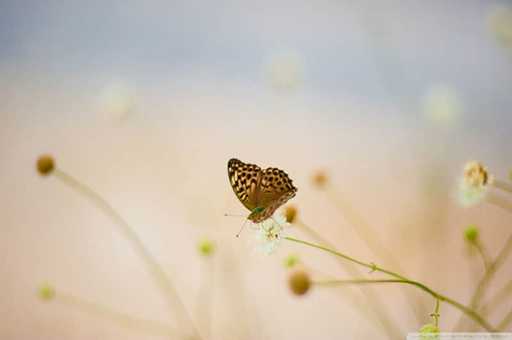 北京5天经典旅游线路推荐-旅游攻略北京五天纯旅游