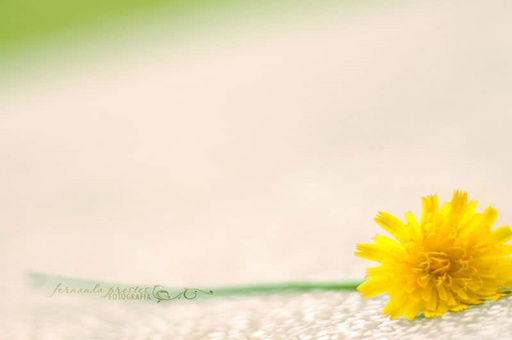 广州去黄山怎么去