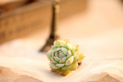 详细阅读:漳州一日游的感想-漳州1日游 漳州一日游的感想-漳州1日游