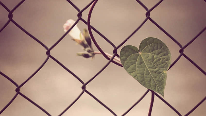 福鼎近郊自驾一日游-福鼎周边自驾游