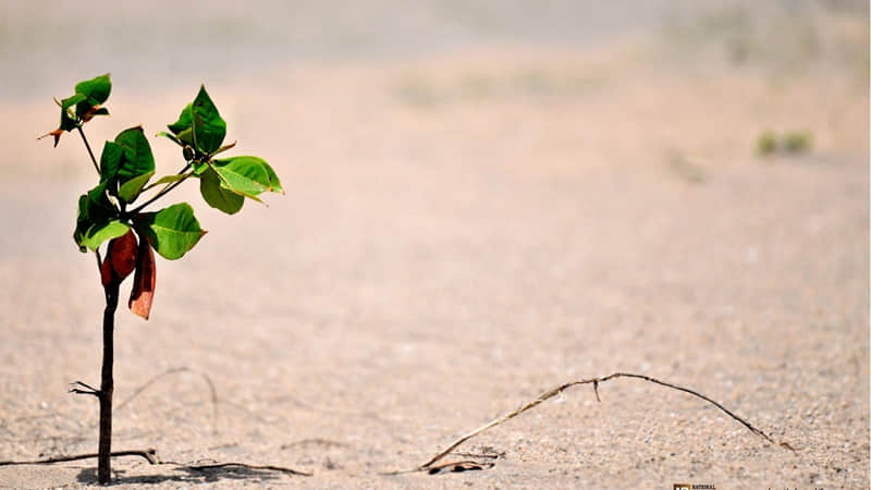 半日古装旅游攻略