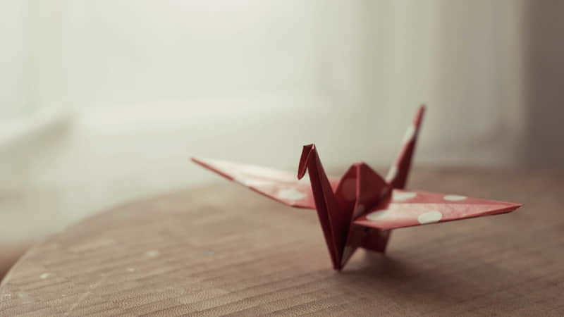 详细阅读:洛阳一日游广州-洛阳1日游 洛阳一日游广州-洛阳1日游