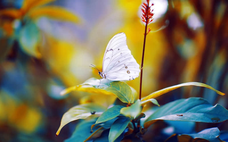 广州旅游景点的名称大全-广州旅游景点简介