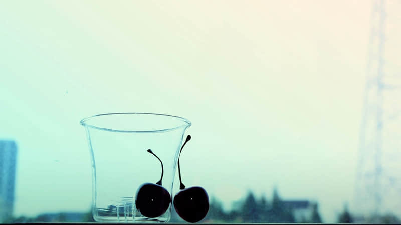 漳浦公交攻略旅游线路图片-漳浦县公交车时间查询