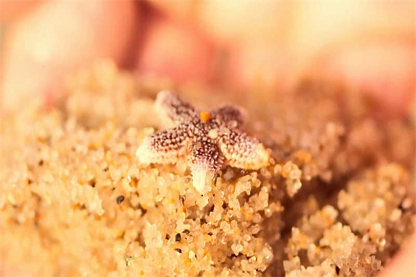 名胜区一日游自驾游推荐-名胜旅游景点