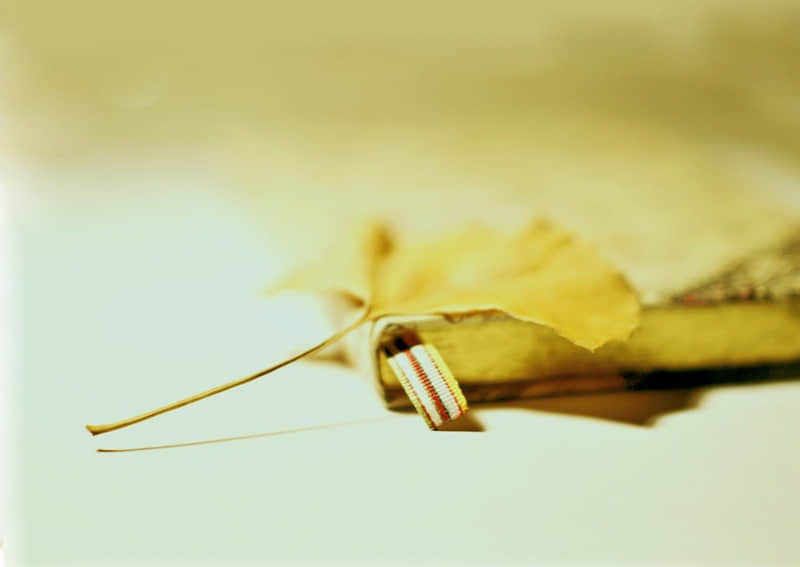 东川红土地旅游线路-东川红土地游玩线路