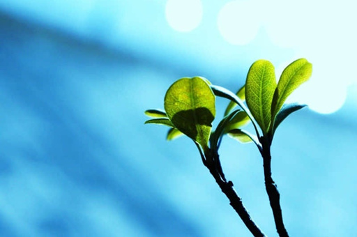 秦皇岛一日游旅行-秦皇岛旅游一日游