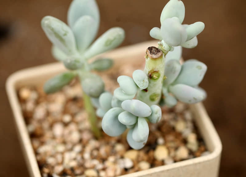 涞源旅游自驾攻略-涞源自驾游好玩的地方