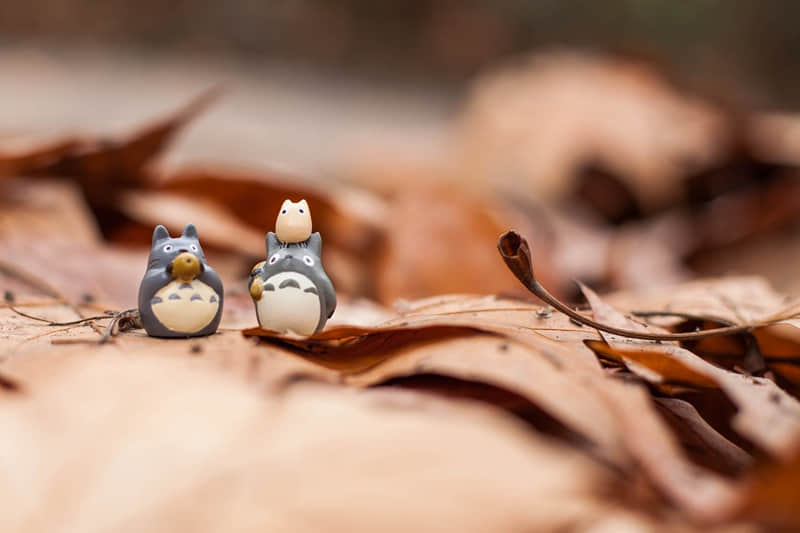 焦山一日游日记-游焦山作文300字