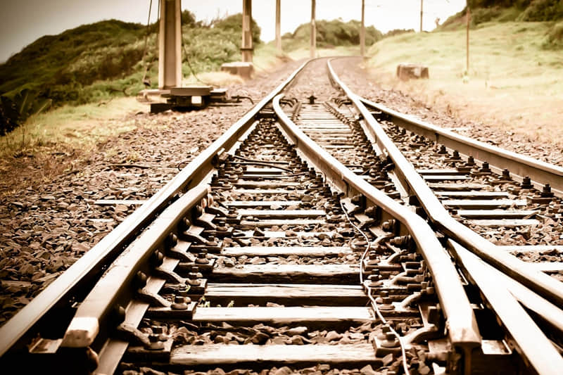 菜地一日游作文-去菜地里玩的作文