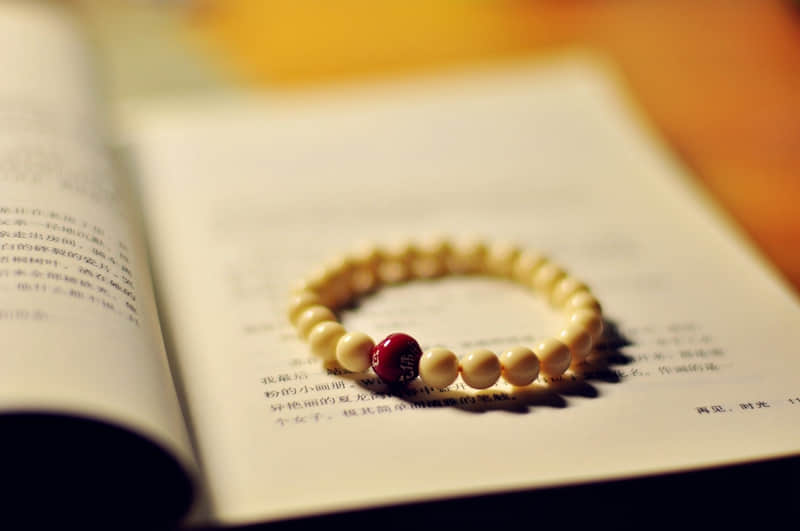 2020花都国庆一日游-花都一日游最佳去处