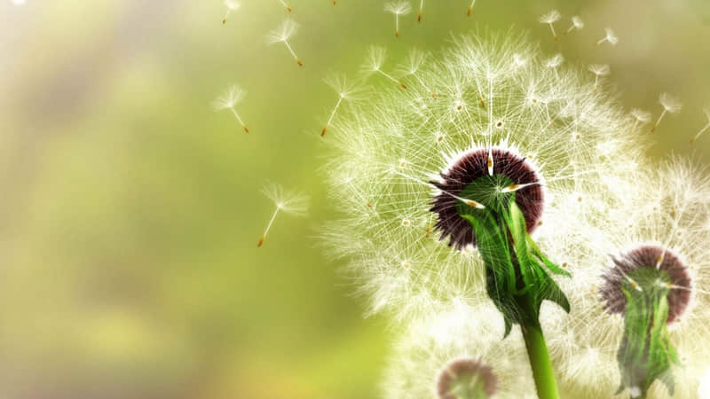 详细阅读:云南悬崖旅游攻略-云南悬崖峭壁 云南悬崖旅游攻略-云南悬崖峭壁