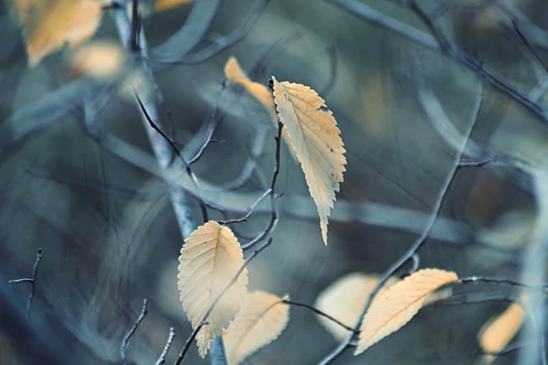 来坝上旅游攻略-坝上旅游攻略自由行