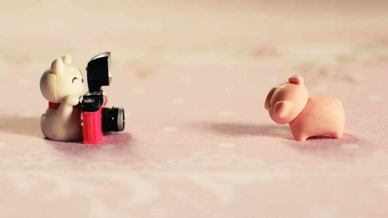 兴安自驾游一日游-兴安自驾游有什么好玩的地方