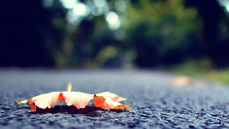 凤翔县免费旅游景点