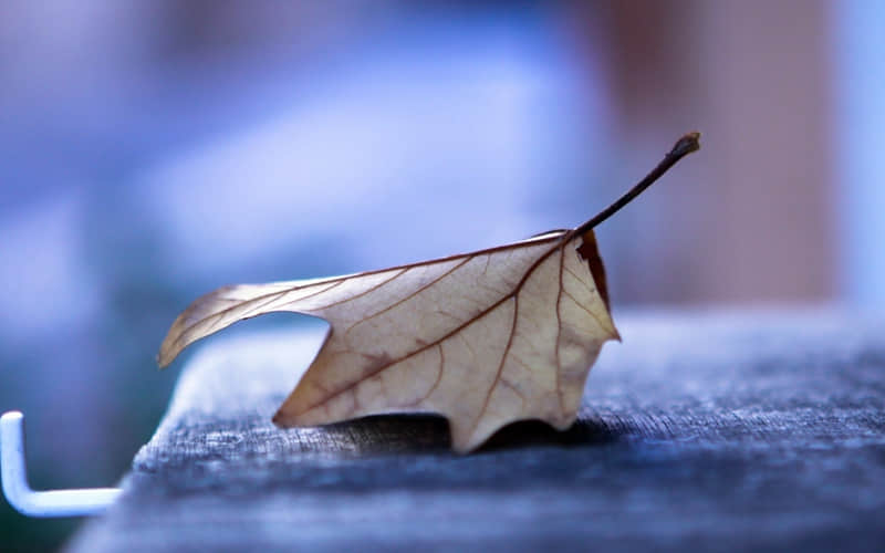 一日游景点福鼎