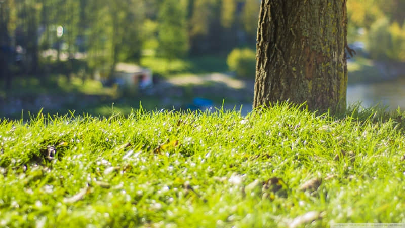 丰都有哪些旅游景点-丰都有哪些景区景点