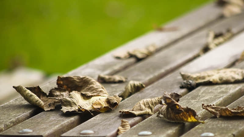 详细阅读:anqing旅游攻略-安庆旅游攻略一日游 anqing旅游攻略-安庆旅游攻略一日游