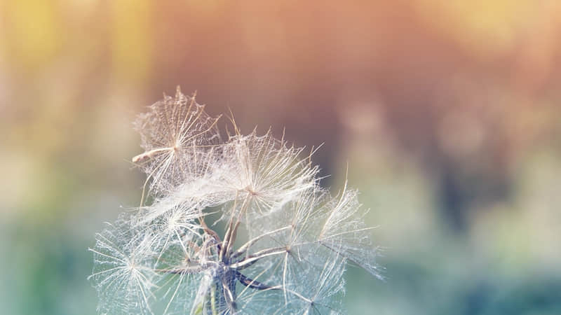 旅游景点葡萄湾-葡萄湾水库