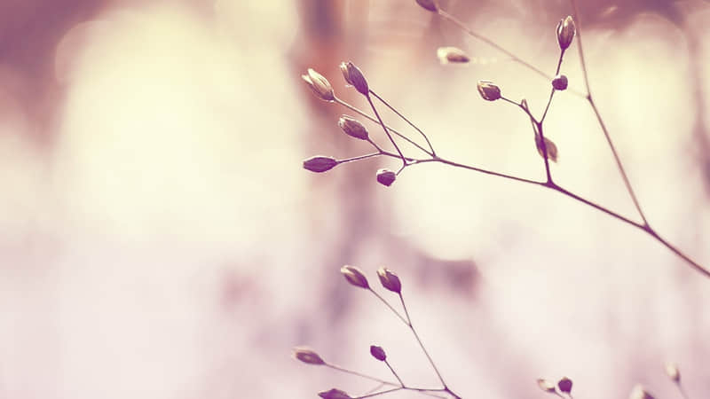 华东著名旅游线路是哪里-华东著名旅游景点