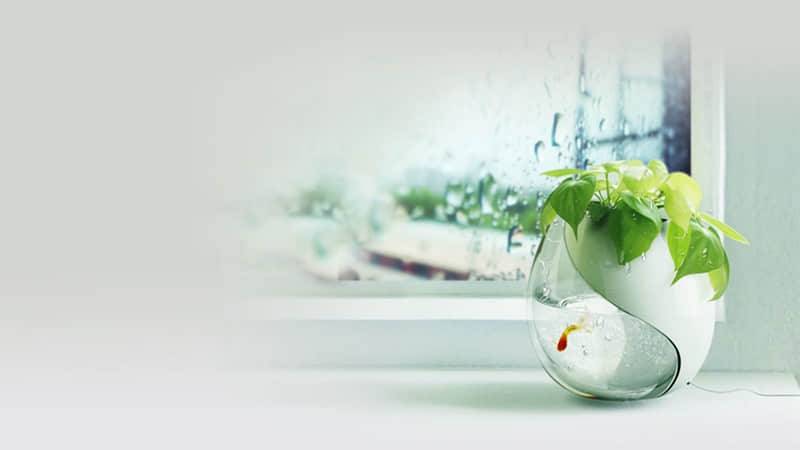 详细阅读:中秋有雨旅游攻略英语作文 中秋有雨旅游攻略英语作文