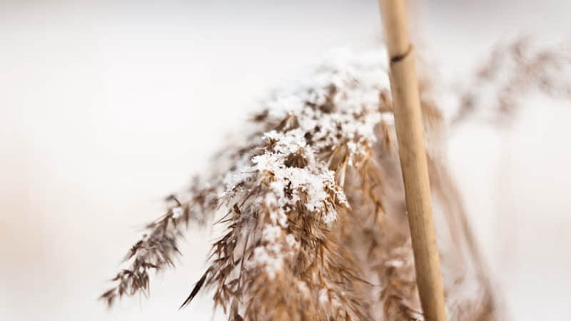 详细阅读:新疆喀纳斯最佳旅游线路-新疆喀纳斯好玩吗 新疆喀纳斯最佳旅游线路-新疆喀纳斯好玩吗