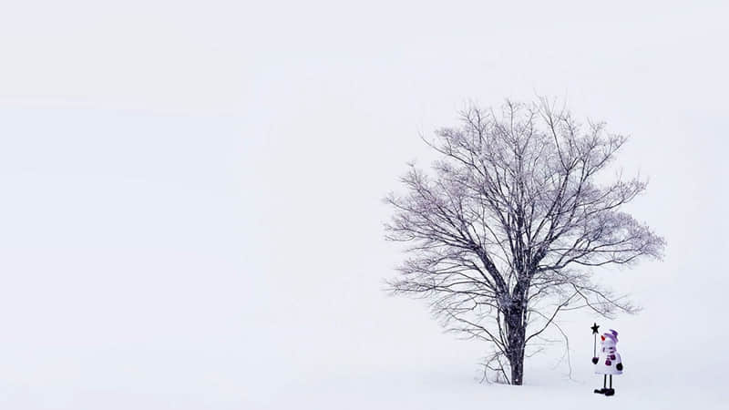 北戴河旅游景点.-北戴河旅游景点路线图
