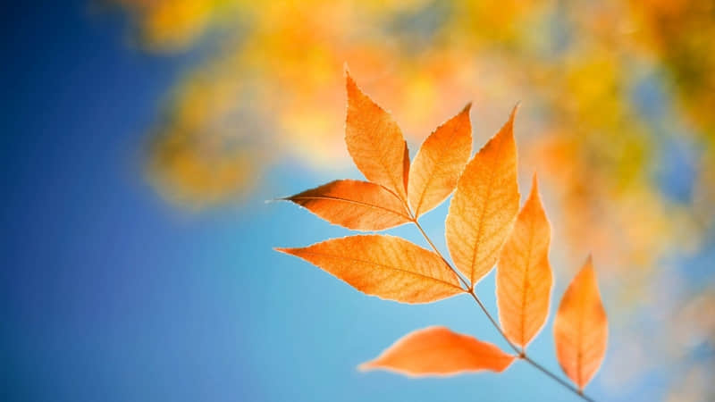 详细阅读:辽宁抚顺哪有旅游景点-辽宁抚顺旅游景点大全排名 辽宁抚顺哪有旅游景点-辽宁抚顺旅游景点大全排名