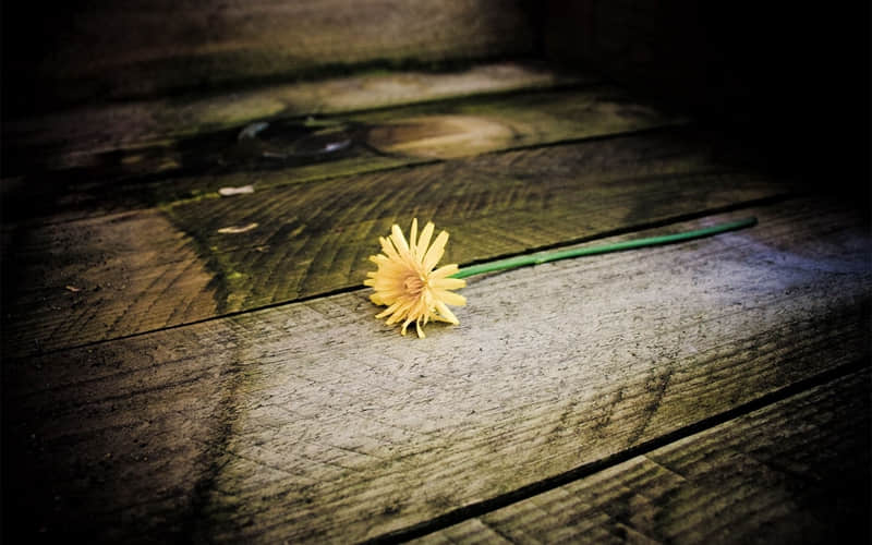 大理旅游有攻略-大理旅游攻略大全