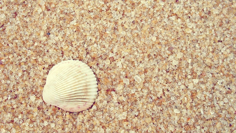 详细阅读:青岛中海旅游攻略-青岛中海怎么样 青岛中海旅游攻略-青岛中海怎么样