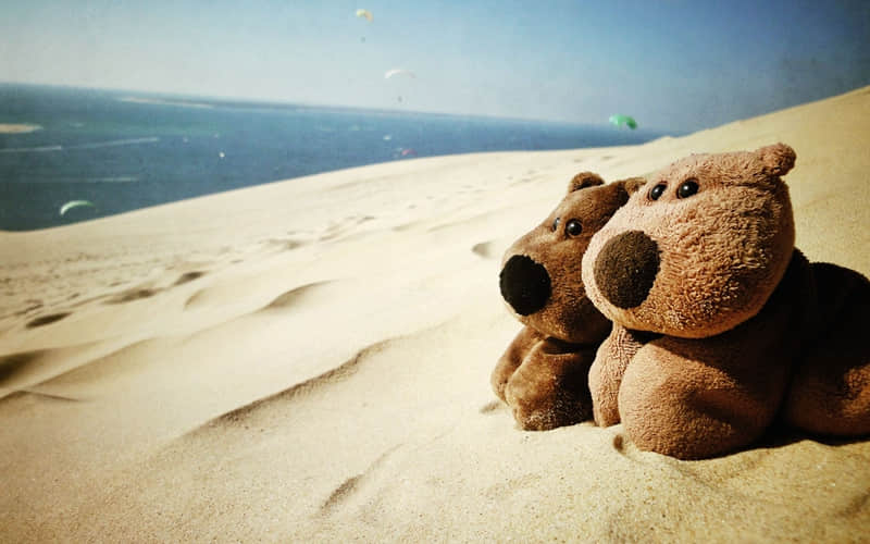 详细阅读:湖南旅游攻略三天-湖南3天旅游攻略景点必去 湖南旅游攻略三天-湖南3天旅游攻略景点必去