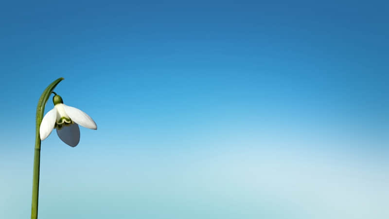 利川旅游景点ppt-利川旅游景点排名前十