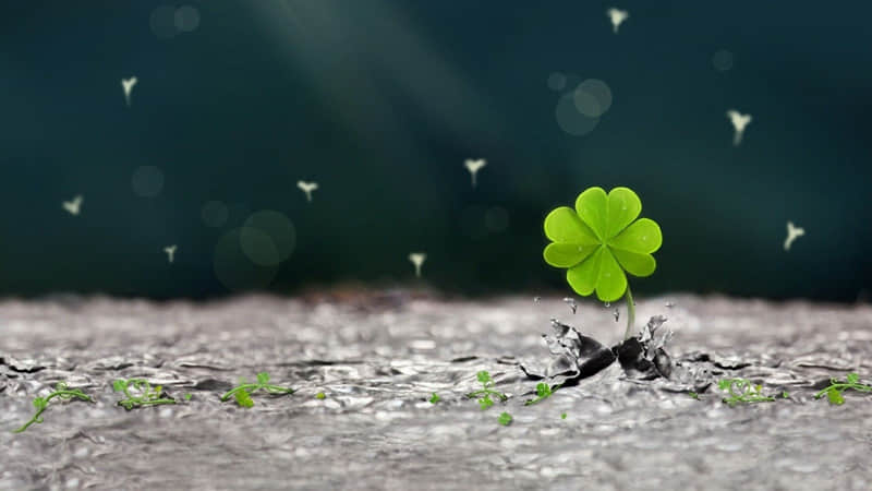 北京到壶口瀑布自驾游攻略