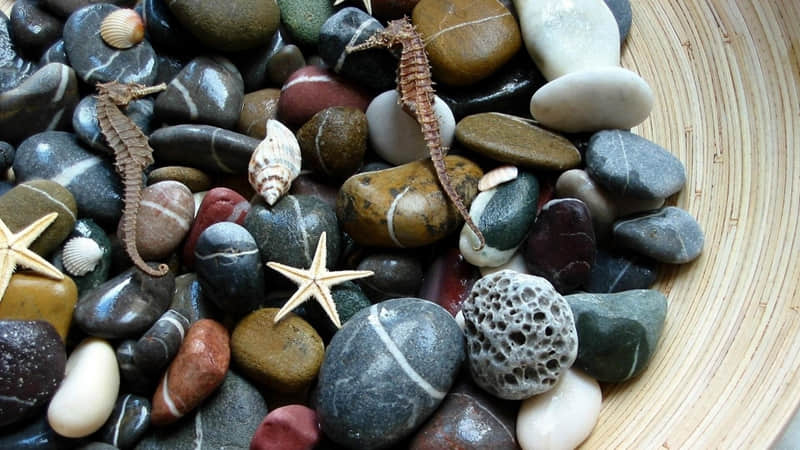 青海旅游景点喷泉-青海客喷喷旅游