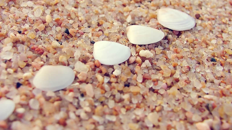 舟山到达杭州旅游线路-舟山到杭州之间有什么景点