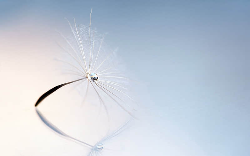 巫山红叶旅游线路-巫山红叶景区门票