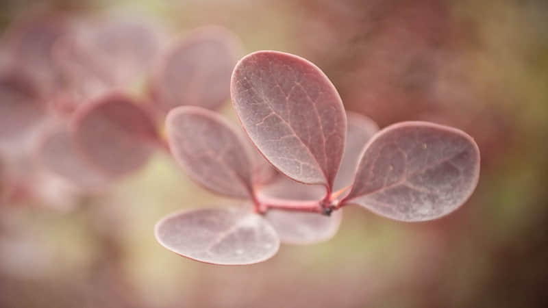 昭通市大冒险旅游景点-昭通好玩的地方排名榜