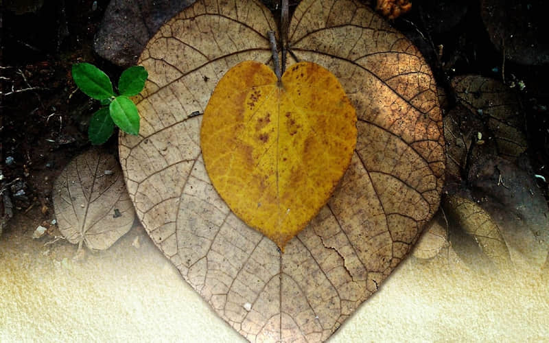 北京旅游攻略4日自助游-北京旅游四日游