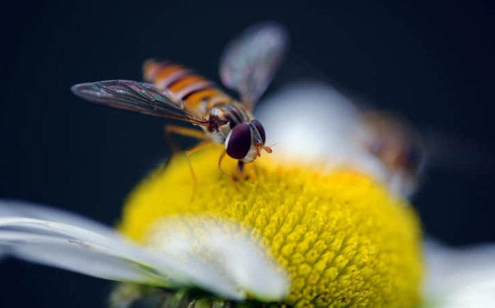 常德周边的旅游景点-常德周边旅游景点大全