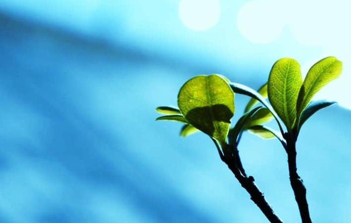 蒙阴椿树沟漂流一日游-蒙阴椿树沟旅游玻璃栈道漂流