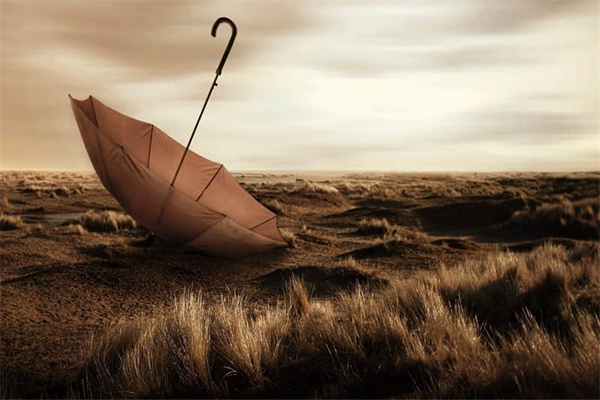 哪里有天津市内的旅游景点-天津哪里旅游景点好玩的地方