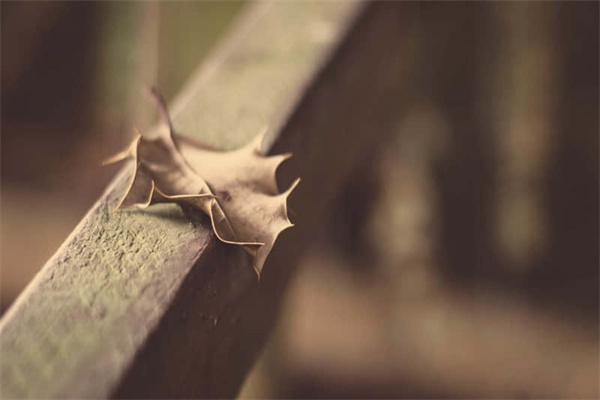 详细阅读:旅游景点危险路段分类-景区危险源有哪些 旅游景点危险路段分类-景区危险源有哪些