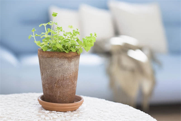 副本攻略旅游推荐-副本游戏推荐