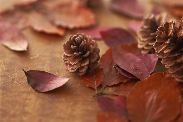 杭州初春旅游线路图高清-杭州初秋哪里好玩