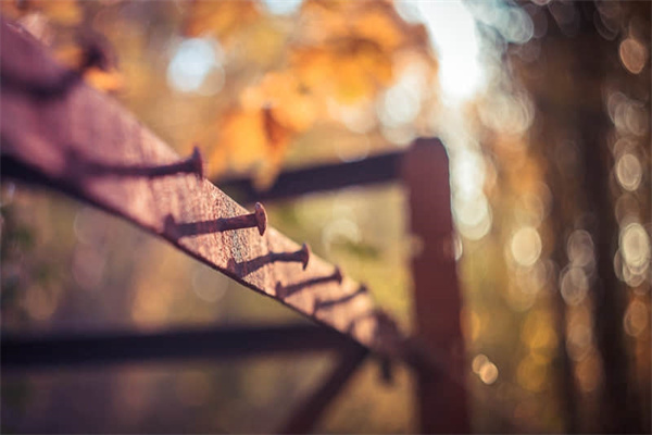 详细阅读:大邑一日游安排-大邑一日游景点推荐 大邑一日游安排-大邑一日游景点推荐