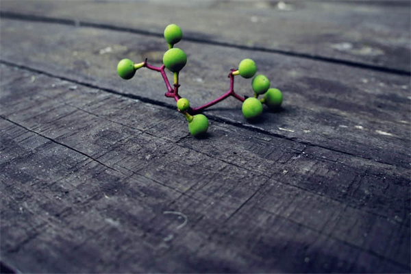 详细阅读:济州岛当地一日游-济州岛游玩 济州岛当地一日游-济州岛游玩