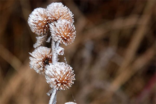 凤翔县周边旅游景点