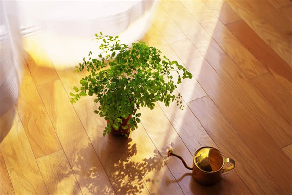 广州至乌镇旅游攻略-广州到乌镇攻略