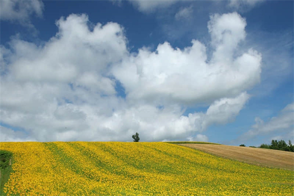 越南舰港旅游攻略